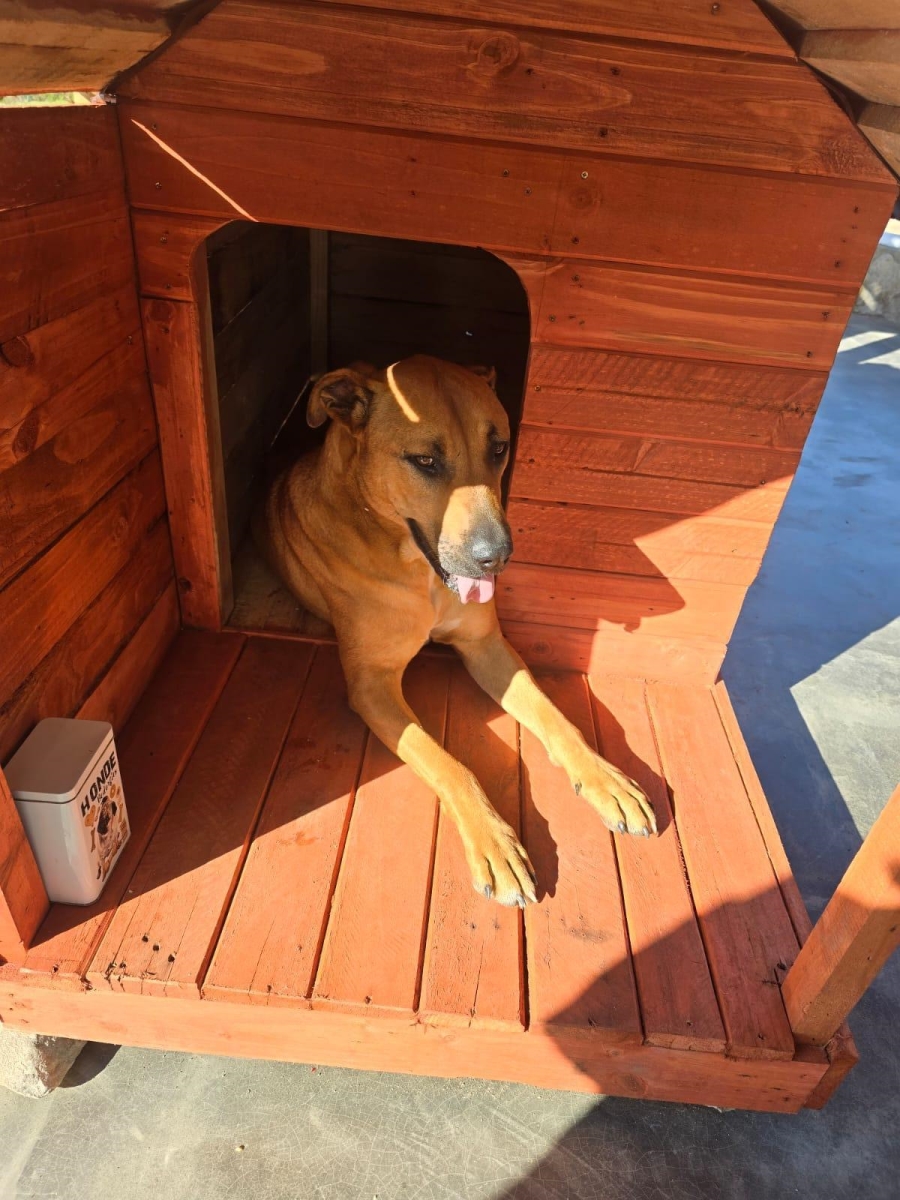 Commercial Property for Sale in Paternoster Western Cape